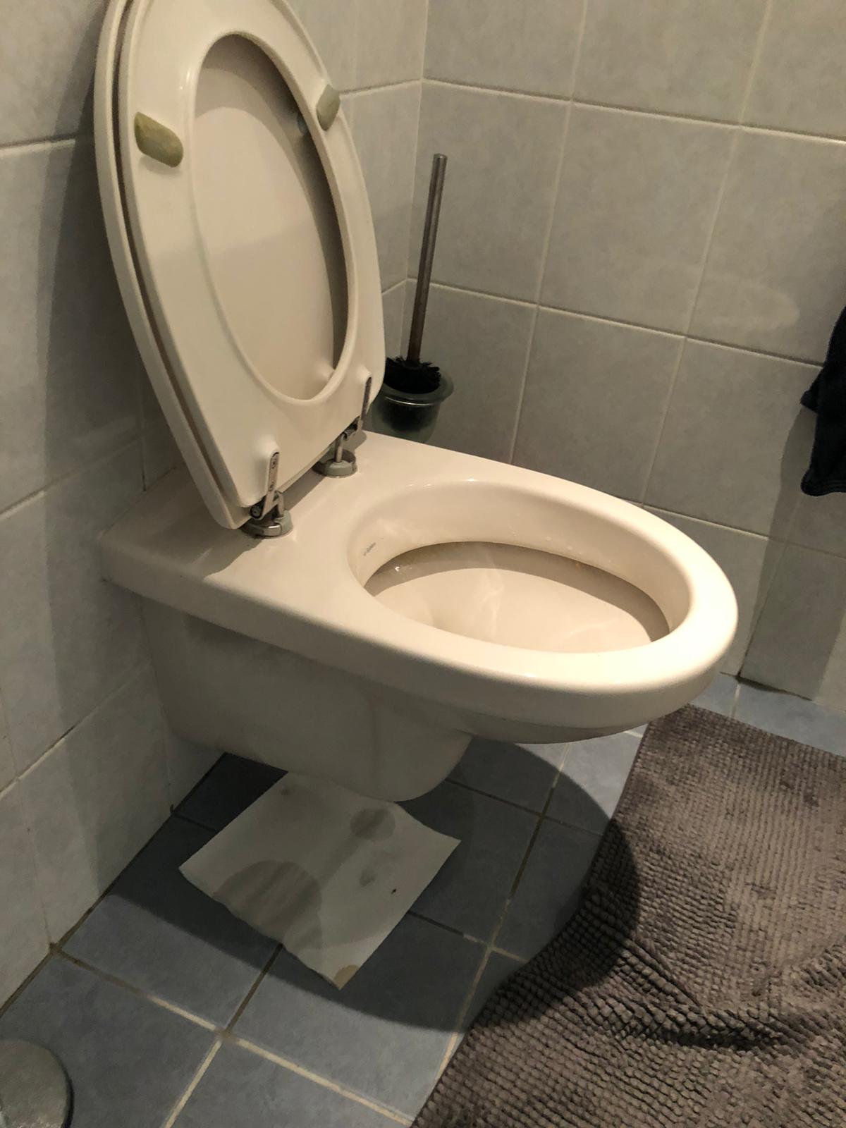 hangtoilet Maassluis
